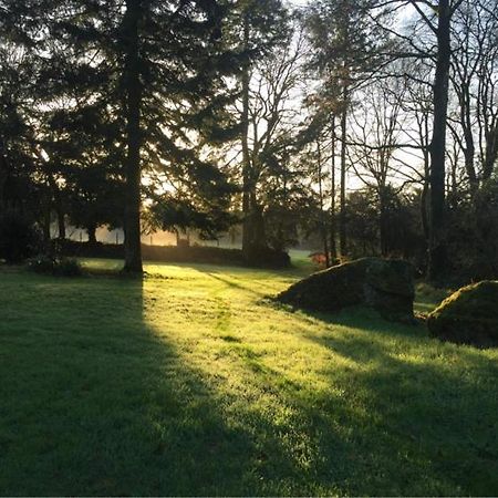 Merveilleux Cottage Dans Parc De 7,5 Hectares Saint-Nicolas-du-Pélem Zewnętrze zdjęcie
