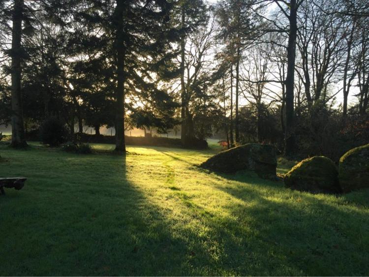 Merveilleux Cottage Dans Parc De 7,5 Hectares Saint-Nicolas-du-Pélem Zewnętrze zdjęcie